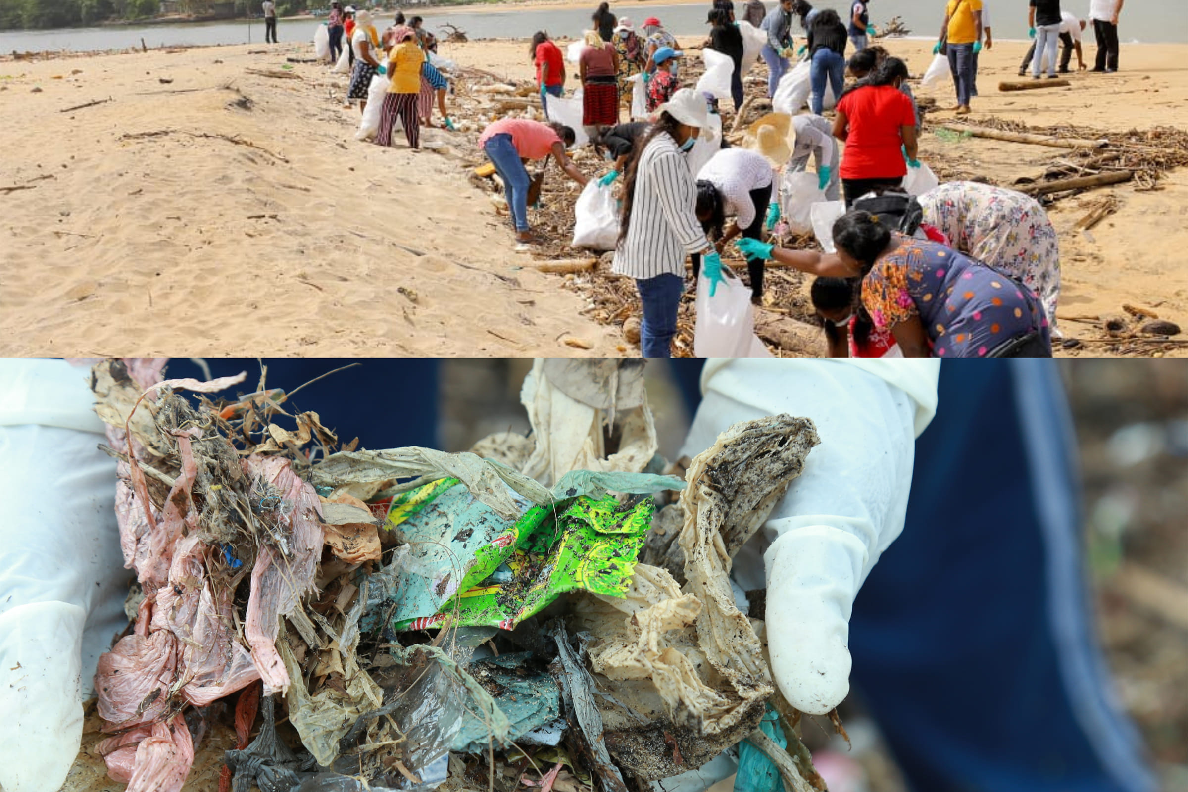 ජාත්‍යන්තර වෙරළ පිරිසිදු කිරීමේ දිනය