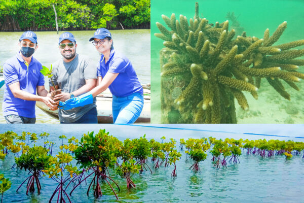 Ecosystem restoration