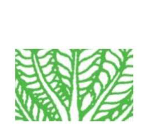 Department-of-National-Botanic-Gardens