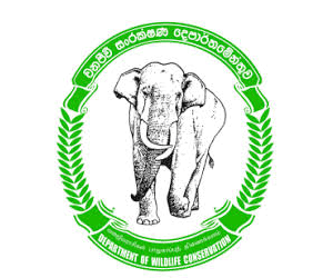 Department-of-Wildlife-Conservation